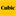 cwcaerus.us