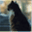 winnenberg.wordpress.com