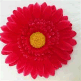 budgetchinatours.com