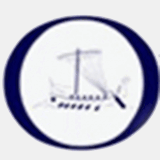 odysseyhealthservices.com