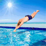 championswimminghk.com