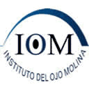 institutoiom.com