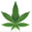 annarbormarijuanadispensaries.org