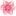 steveschellenberg.com