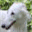 silkenjoy.de