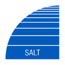 salt.it