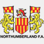 northwindarts.org