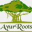 ayurroots.com