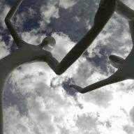 denvervaporecigarette.com