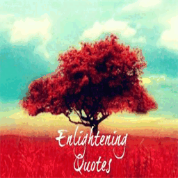 enlighteningquotes.com
