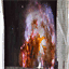 mymicrogallery.com