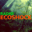 ecoshock.net