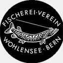 fv-wohlensee.ch