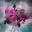 timeses95.wordpress.com
