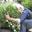 lepetitjardindalbine.over-blog.com
