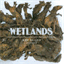 wetlandsfl.bandcamp.com