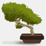 floristeriabonsai.net