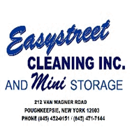 eco-friendlyplumbingca.com