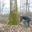 le-blog-du-bucheron.over-blog.com