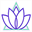 mazelaw.co.nz
