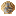 shieldshell.com