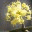 thelifeofastrangercalledme.wordpress.com