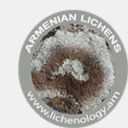 lichenology.am