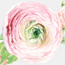 annadobrovolskaya.com