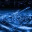 selysharp.wordpress.com