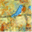 bluebirdsalwaysfly.wordpress.com