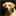 joshbergkennels.com