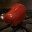 gastrotaco.wordpress.com