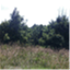 flyingnectarfarm.com