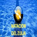 nataciondelzulia.com