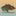 waikoloadryforest.org