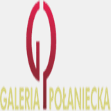 galeria-polaniecka.pl