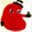 swrenal.org.uk