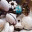 karensuponthehill.wordpress.com