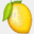 lemonfestival.com