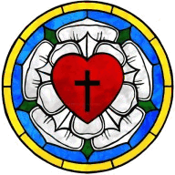 newportcoastyachtmanagement.com