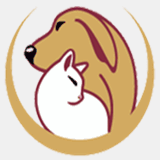 inmanparkanimalhospital.com