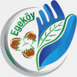 eideabio.com