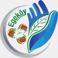 eideabio.com