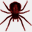 spiderfan.org