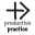 productivepractice.org