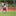 laxbuddy.com