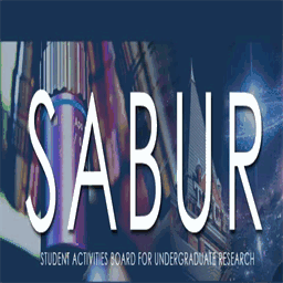sabur.gtorg.gatech.edu