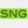 sngadvisors.com