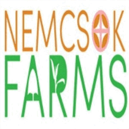 nemecos.net