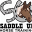 saddleuphorsetraining.com